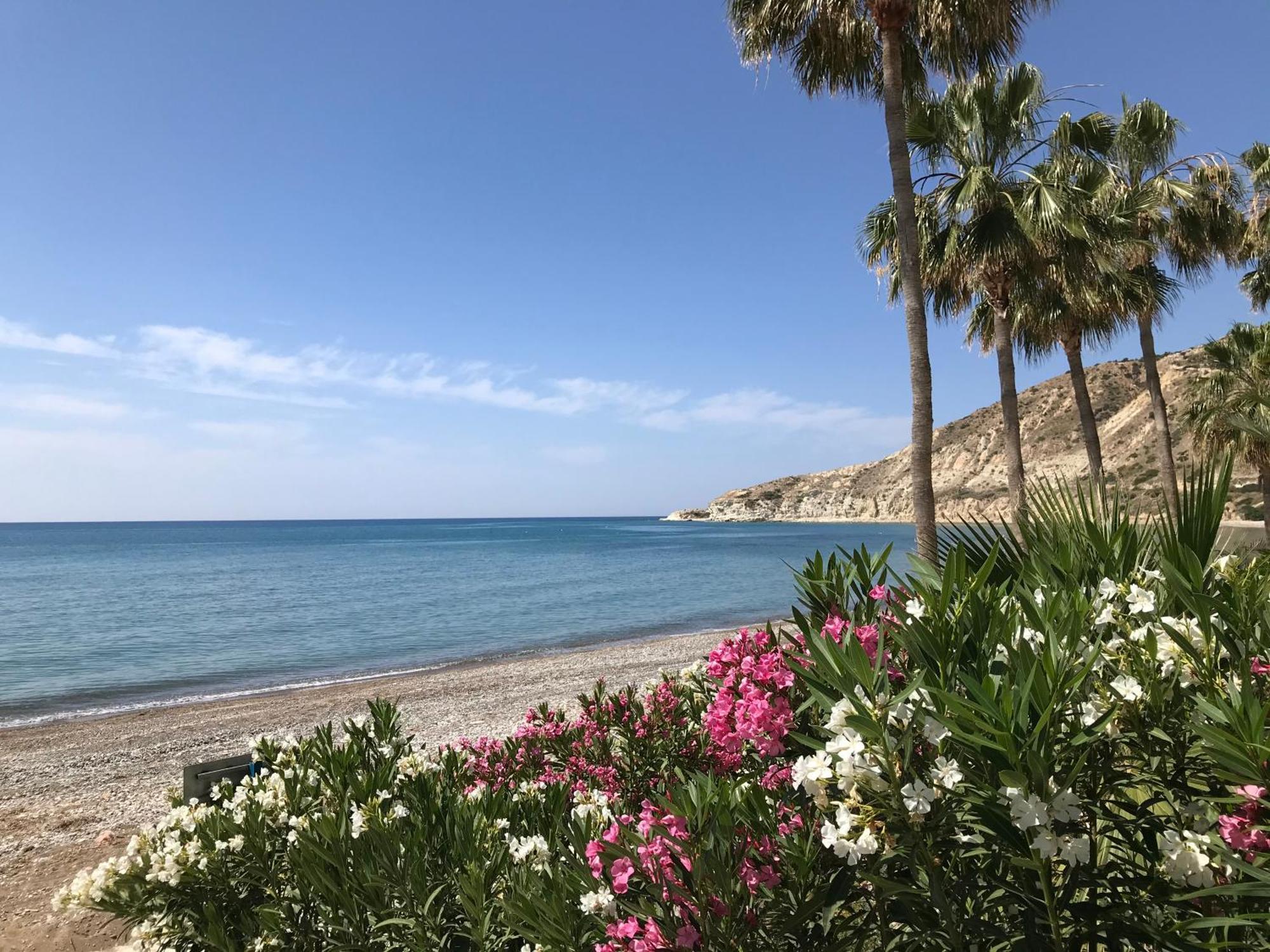 Pissouri Beach Apartments Eksteriør billede